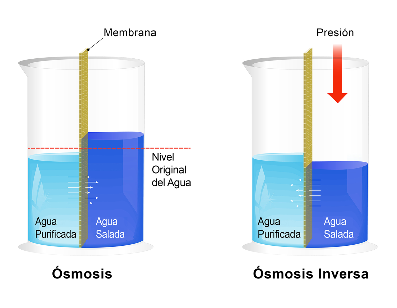 Qué es, cómo funciona y para qué sirve la Ósmosis Inversa? - Tratamientos  de Agua - Ósmosis Inversa - Descalcificadores - S. Técnico